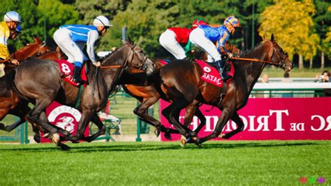 steepledowns|Steepledowns betting odds .